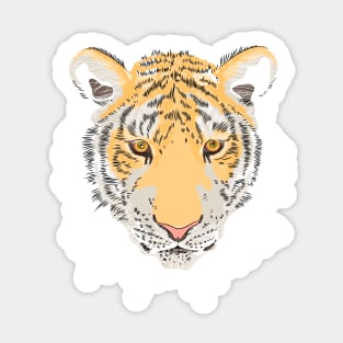 Serious amur tiger Sticker